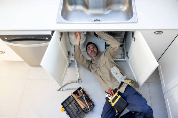Best Clogged Drain Plumber  in Seyur, MO