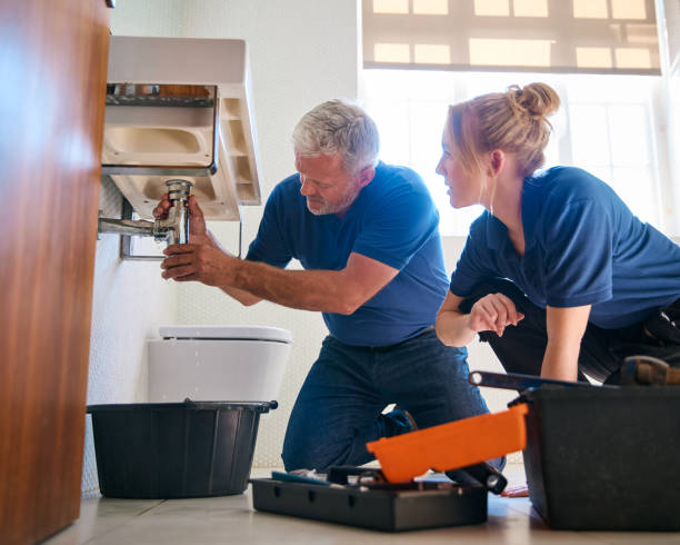 Best Affordable Plumbing Services  in Seyur, MO